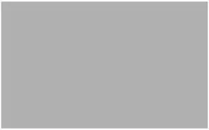 Adorama Seamless Background Paper, 53" wide x 12 yards, Plaza-Gray, #58