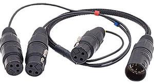 Ambient Recording 10" 3x XLR-3F to 7-pin XLR M Double MS Breakout Adapter Cable