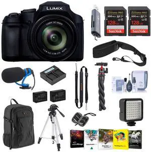 Panasonic LUMIX FZ80D 18.1MP Point & Shoot Digital Camera, Bundle with 128GB Memory Card, Battery, Tripods, Microphone, W49 Light and Software Kit