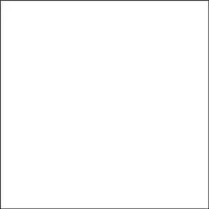 Rosco E Color 250 Half White Diffusion Roll - 48"x25' #102302504825