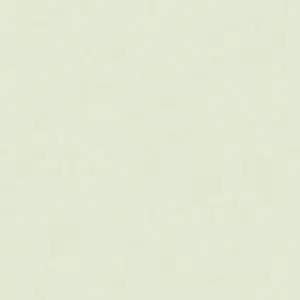 Rosco Cinegel Tough 1/4 PlusGreen, 20x24" Color Correction Lighting Filter