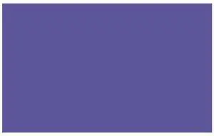 Adorama Seamless Background Paper, 53" wide x 12 yards, Purple, #68