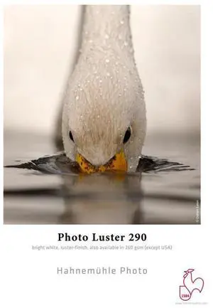 Hahnemuhle Photo Luster 290 Inkjet Paper, 17x22", 25 Sheets