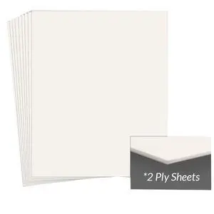 Archival Methods Conservation Mat Board, 11x17", 2 Ply, 25 Pack Archival Methods Conservation Mat Board, 11x17", 2 Ply, 25 Pack