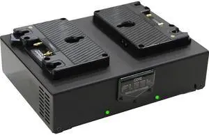 Core SWX Fleet D2A Two-Position Charger, Gold Mount