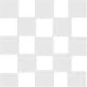 Advantage Gripware 12x12' Checkerboard Lam / Silver Overhead Fabric, White