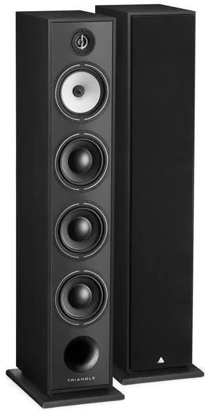Triangle Borea BR09 Floorstanding Speaker, Black Ash