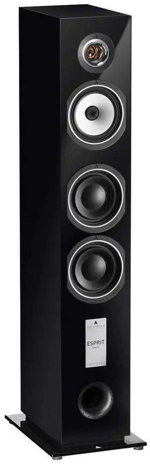 Triangle Gaia Ez Floorstanding Speaker, Black Ash