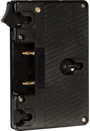 Shape Gold Mount Lock Plate #ABGL