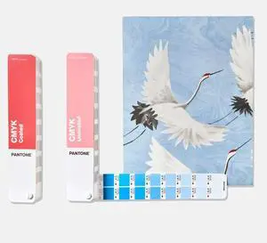Pantone CMYK Color Guide Set, Coated and Uncoated
