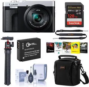 Panasonic Panasonic LUMIX ZS99 Silver Compact Point and Shoot Digital Camera, 30x Zoom for Travel & Concerts (DC-ZS99S) Accessory Kit