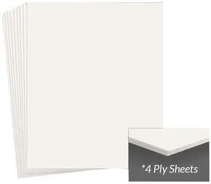 Archival Methods Conservation Mat Board, 8x10", 4 Ply, Pearl White, Package of 25