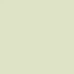 Rosco E-Colour #246 1/4 Plus Green 20x24" Sheet