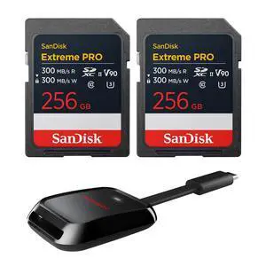 SanDisk Extreme PRO UHS-II V90 Cards UHS-II 256GB SD 310MB/ #SDSDXDE256GGN4INA SanDisk Extreme PRO UHS-II V90 Cards UHS-II 256GB SD 310MB/ #SDSDXDE256GGN4INA