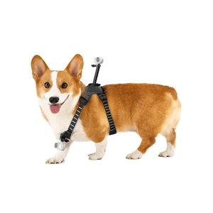 Insta360 Insta360 Pet Harness Mount for Action Camera, Medium Insta360 Insta360 Pet Harness Mount for Action Camera, Medium