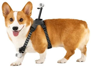 Insta360 Pet Harness Mount for Action Camera, Medium Insta360 Pet Harness Mount for Action Camera, Medium