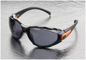 Elvex GG40GAF Go-Specs Safety Glasses, with Lenses