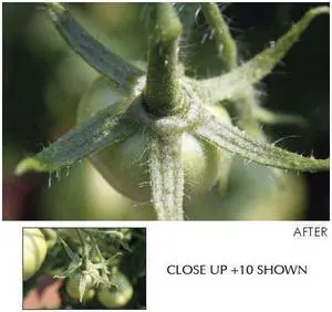 Tiffen 67mm Close-up Lens Set (+1, +2, +4)