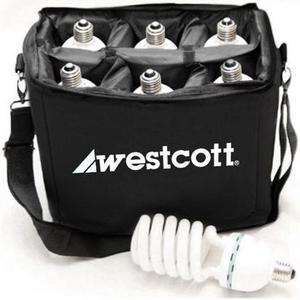 Westcott LampGuard Case for 6 LED or Fluorescent Bulbs #6870