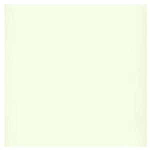 Lee Filters 1/4 Plus Green 48"x25' Roll Gel Filter #246R