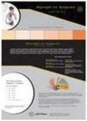 Lee Filters Daylight to Tungsten Pack, 12 Sheet Pack of Pre-cut 12x12" Lighting
