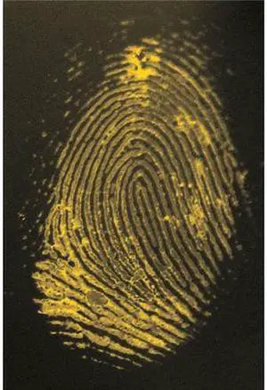 Safariland 1 2-Indanedione Fluorescent Latent Print Dye, 10g #1-2788