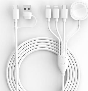 4 in 2 Multi Charging Cable for iWatch/iPhone,USB C Cable Universal Travel Charger with 2xiOSPort Type C Compatible with iPhone iWatch Series SE/8/7/6/5/4/3/2/1 Samsung S23 S22 S21-4FT Ace