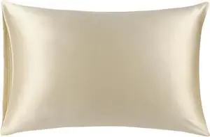 Silk Pillowcase for Skin and Hair, Both Sides 100% Natural 25 Momme Silk Pillow Case with Envelope Closure, Super Soft Pillow Cover Queen Taupe