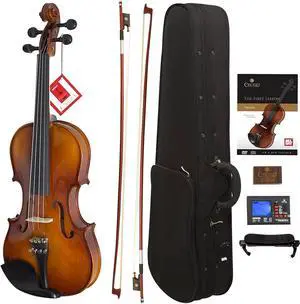 Cecilio CVN-300 Solidwood Ebony Fitted Violin - Size 4/4, Natural Varnish