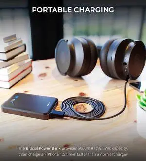 Blucoil 5000mAh Portable Power Bank