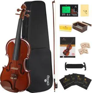 Cecilio Natural Varnish Violin for Beginner w/ Hard Case, Bows, Rosin - 1/2 Size