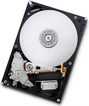 HGST Deskstar E7K1000 HDE721010SLA330 1 TB 3.5" Internal Hard Drive - SATA - 7200rpm - 32 MB Buffer - Hot Swappable DISC PROD SPCL SOURCING SEE NOTES - HDE721010SLA330