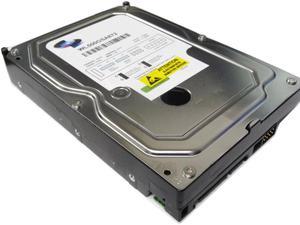 WL 500GB 8MB Cache SATA2 (3.0Gb/s) 3.5" Internal Hard Drive (For Desktop PC & CCTV DVR) - OEM w/1 Year Warranty