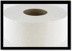 MORCON PAPER M99 Morsoft Jumbo Toilet Paper, 2 Ply, Continuous Roll, PK12
