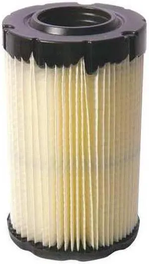 BRIGGS & STRATTON 594201 Filter,Air Cleaner