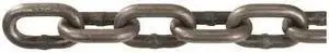 PEERLESS CHAIN 5031220 Chain,Hight Test,20 ft.,2600 lb.