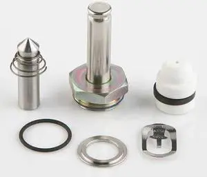 ASCO 304669 Valve Rebuild Kit