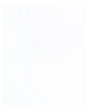 PARTNERS BRAND PZ423 Polypro Bags, 5" x 8", 1.5 mil, Clear, 5000 PK