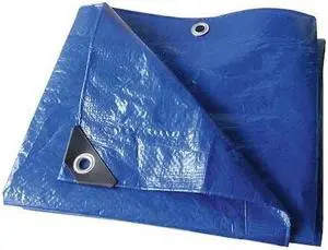 ZORO SELECT 22JC32 Standard Duty Tarp, 28 ft 10 in x 49 ft 2 in, 3.2 Mil, Blue,