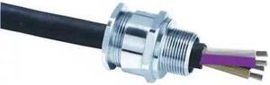 APPLETON ELECTRIC 25A2F0755 Cable Connector,3/4 In,Straight,Silver