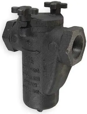 MUELLER STEAM SPECIALTY 11/2 125 CI Iron body screwed Basket Strainer, 1-1/2"