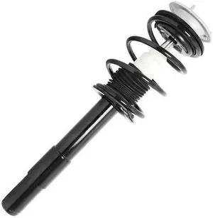 UNITY 11960 11960 Front Complete Strut Assembly UNITY 11960 11960 Front Complete Strut Assembly