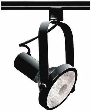 NUVO TH225 1-Light, PAR38, Track Head, Gimbal Ring, Black Finish