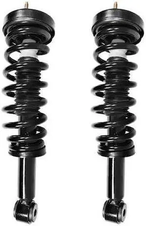 UNITY 2-11304-001 2-11304-001 Front Complete Strut Assembly Kit