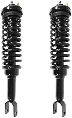 UNITY 2-15220-001 2-15220-001 Rear Complete Strut Assembly Kit