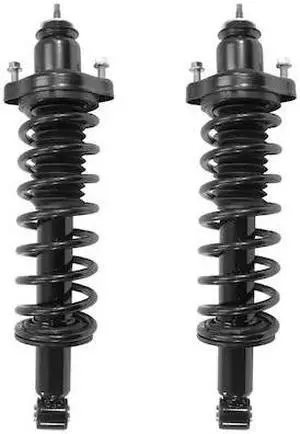 UNITY 2-16010-001 2-16010-001 Rear Complete Strut Assembly Kit