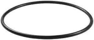 DAYTON PP21101246001G O-Ring,NBR, PP21101246001G