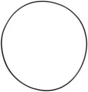 DAYTON PP60079G O-Ring,Viton
