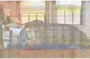 BLUE RIDGE 033323 Microfiber Down Fiber-Blend Comforter, Ivory, Full/Queen