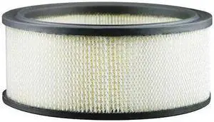 BALDWIN FILTERS PA3901 Air Filter,6-31/32 x 3 in.